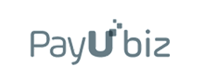 Payubiz Wordpress Development Company Delhi India